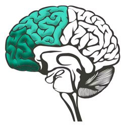 Executive Career Consulting Services