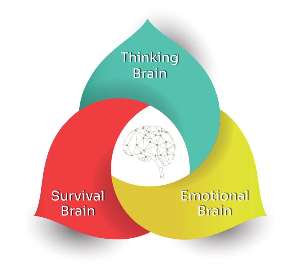 Executive Career Consulting Services